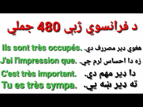 Leçon 258 : 480 Phrases Pour Parler Comme un Français - Basic French Phrases