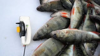 Блесны на нельму под лед своими руками