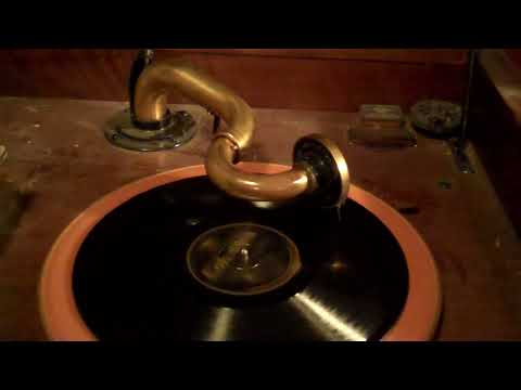 BEN SELVIN MANHATTAN DANCE MAKERS - I CAN'T SEE THE BEAUTIFUL SEA - ROARING 20's VICTROLA 8-30