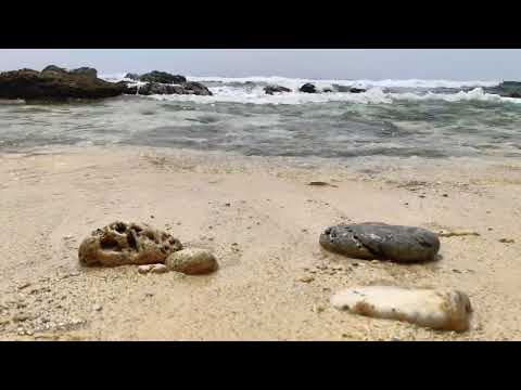 Andaman Islands and Neil Havelock Island 🏝️ Trip 2022