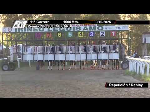 CARRERAS SINT FLORIDA 9/10/25 | EN VIVO | URUGUAY