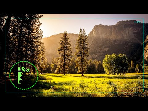 Звуки Природы - Пение птиц. Расслабься и наслаждайся