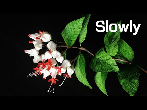 ABC TV | How To Make Bleeding Heart Vine Flower From Crepe Paper (Slowly) - Craft Tutorial