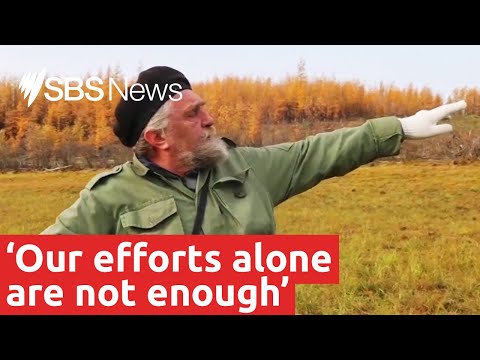 The father and son fighting climate change in Russia's Siberia | SBS News