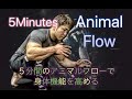 ５分のアニマルフローで体の機能アップデート[5Minute Animal Flow]