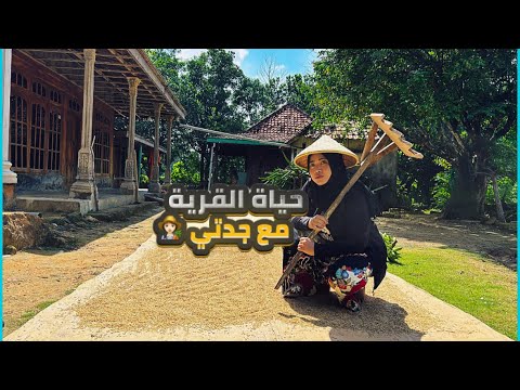 حياة الريف مع جدتي في المزرعة قرية اندونيسية 🇮🇩 | قطف سبانخ طازج