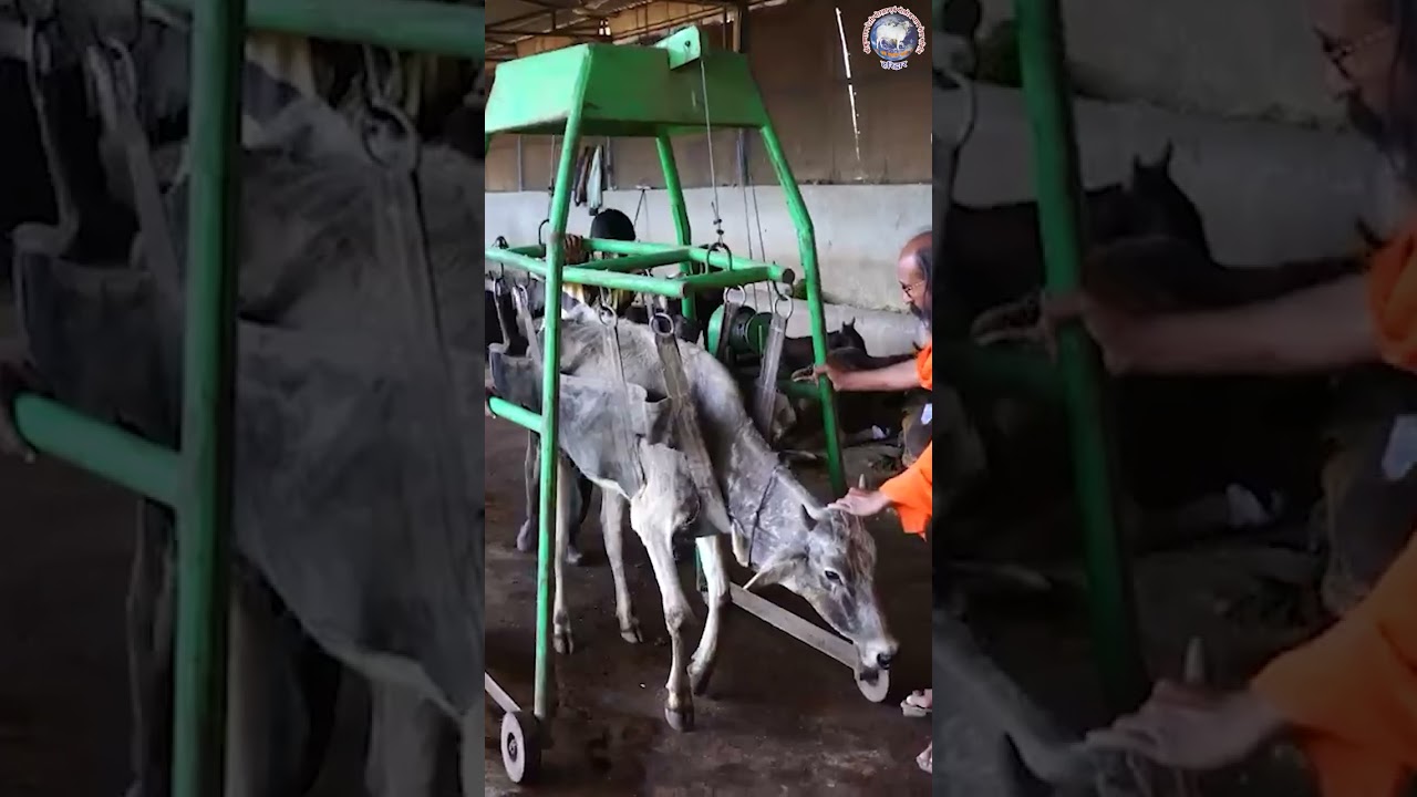 About Krishnayan Video Thumbnail