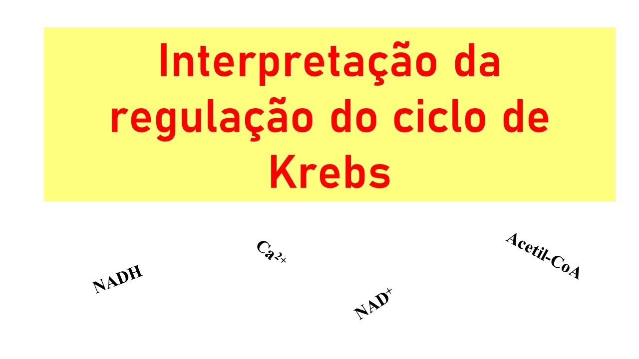 Interpretação da regulação do ciclo de Krebs
