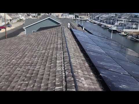 A Shocking Solution for Sea Gull Prevention in Island Heights, NJ