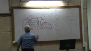 Dr.Medhat - Anatomy Revision (1) - UL - Part 1