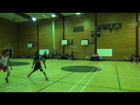 Zayaam Ali mid season highlights 2018/19 SEEVIC