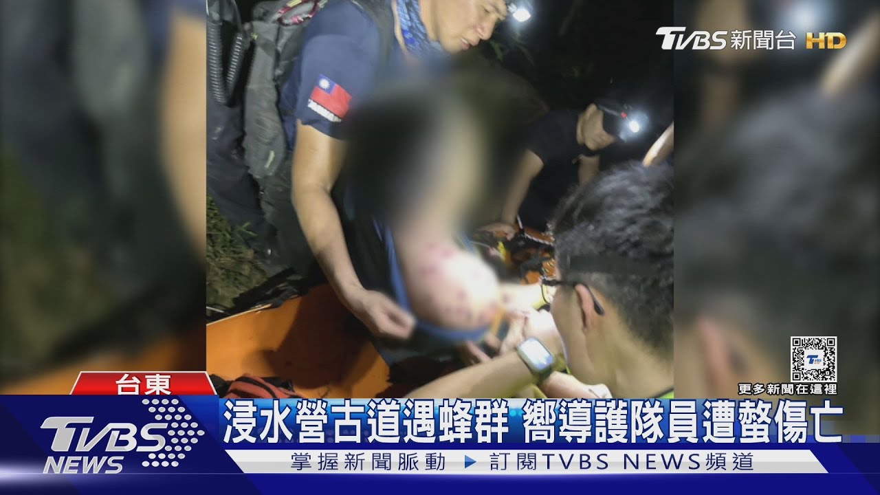 浸水營古道遇蜂群!嚮導護隊員遭螫傷亡