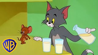 Tom & Jerry  Tom & Jerry in Full Screen  C