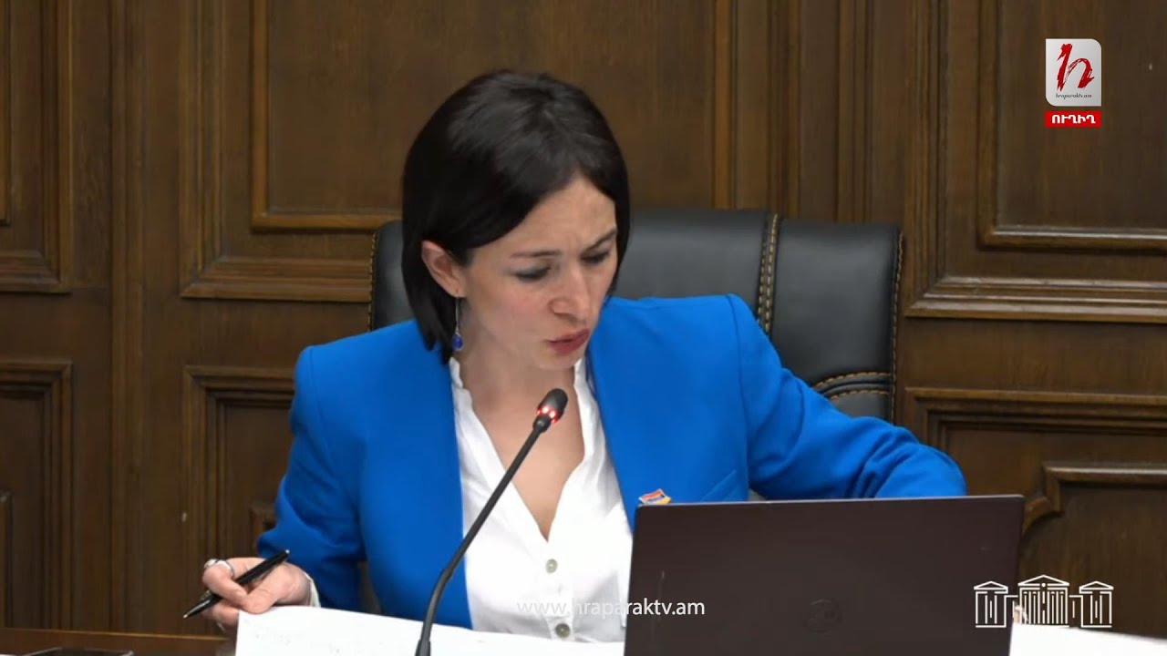 #Ուղիղ. ԱԺ մշտական հանձնաժողովների համատեղ նիստ