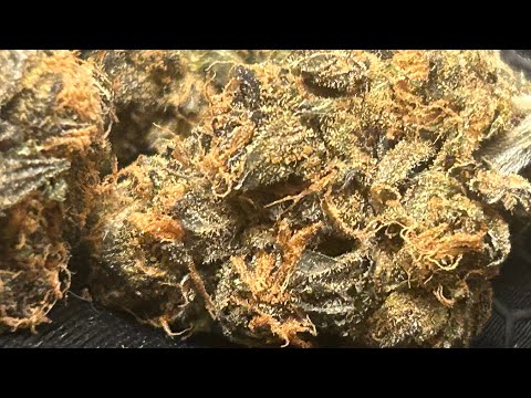 Smoke and Ride | Cannabis Review | FloraCal Farms | 24 Karatz | 
