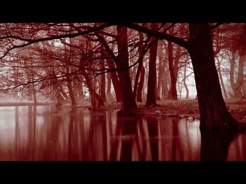 AlphaRISC - You Will Never Find The Body