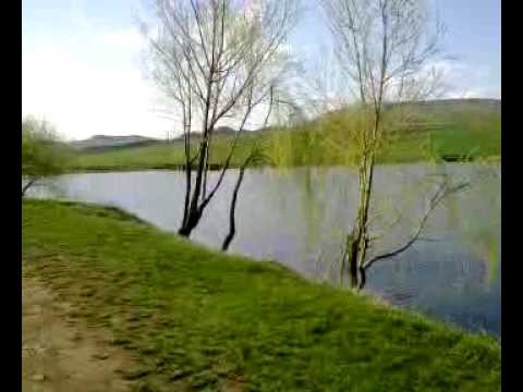 lacul din saulia populat