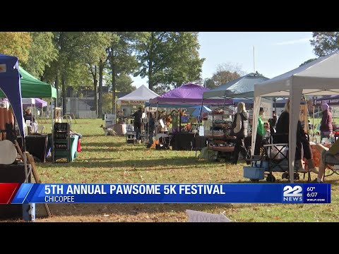 Kane's Krusade 5K Festival raises funds for pets - YouTube