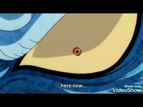 Download One Piece Ep 913 3gp Mp4 Codedwap