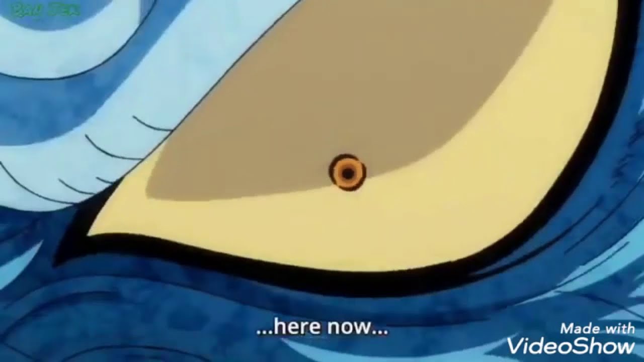 Download Onepiece Episode 914 English Sub Onepiece Episode 914 Mp4 3gp Hd Naijagreenmovies Fzmovies Netnaija