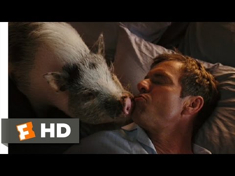 Yours, Mine and Ours (7/9) Movie CLIP - A Greater Enemy (2005) HD