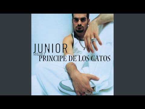 Príncipe De Los Gatos