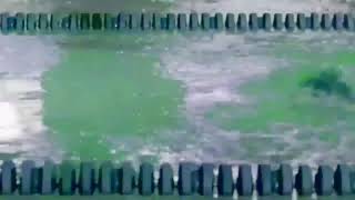 Aimee Teegarden Black Swimsuit (blushing version)
