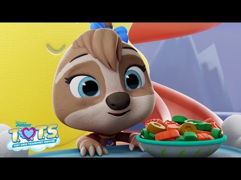 Sunny the Sloth Profile | T.O.T.S.| Disney Junior