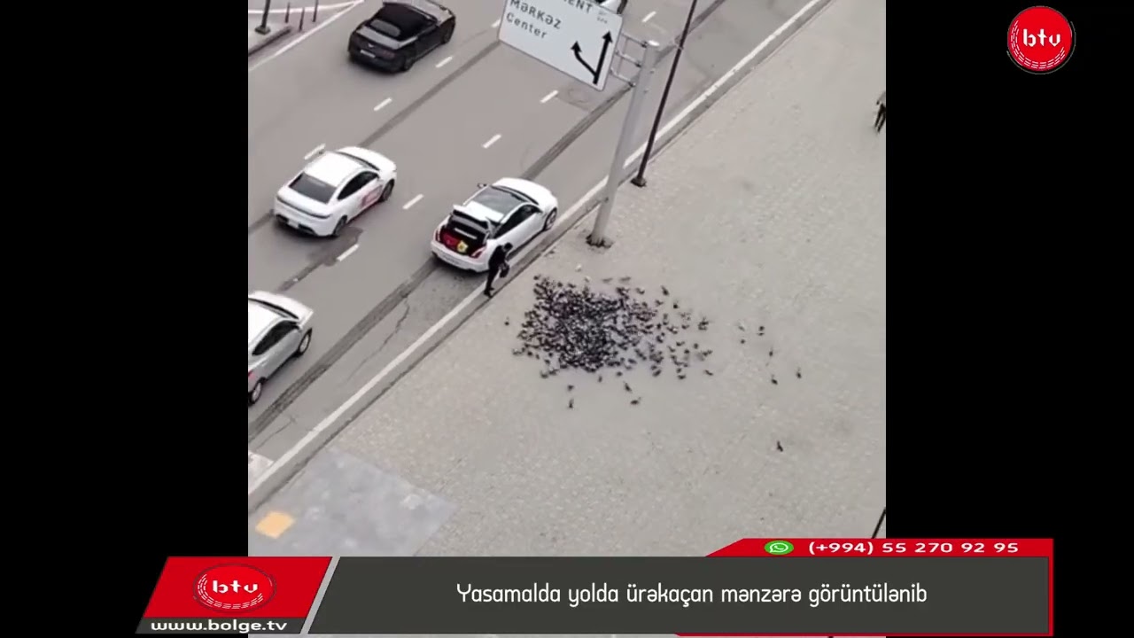 Yasamalda yolda ürəkaçan mənzərə görüntülənib