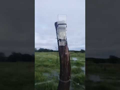 Chuva no sitio Várzea Redonda, Quixelô CE