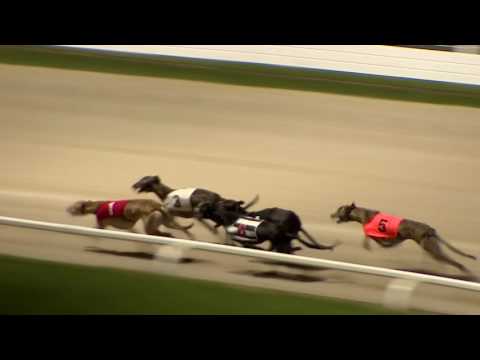 2017 STAR SPORTS DERBY - ROUND 1 HEAT 32 - T1 MONEYPOINT BRA