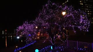 小倉イルミネーション2019