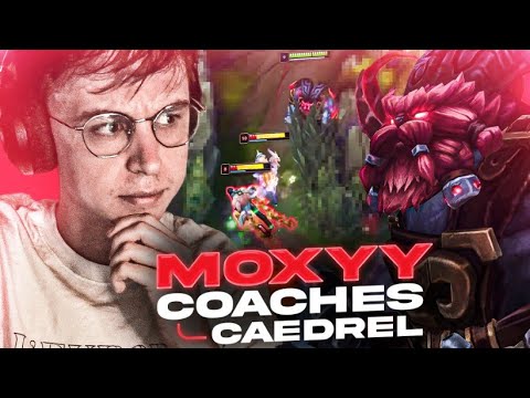 M0XXY COACHES CAEDREL