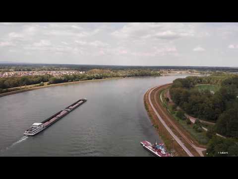 Rhein bei Greffern #4k