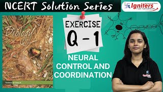 Exercise Q.1 - Neural Control and Coordination | Class 11 | NCERT Solution Series | BIOLOGY