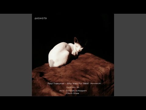 Panic Now and Avoid the Rush (Gottlieb Scheppert Remix)