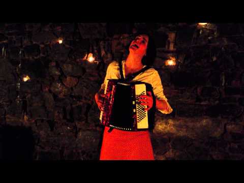 Jana Vébrová - Jana Vébrová - Příbram - červen 2013 - Husy (Geese)