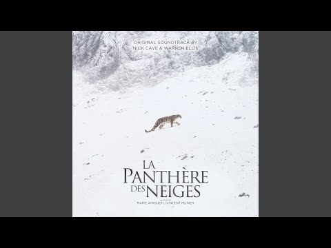 L'apparition/We Are Not Alone