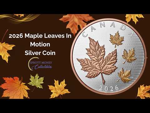 2026 Maple Leaves in Motion 5 oz Pure Silver Coin Royal Canadian Mint Unboxing