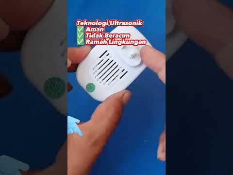 天花板 老鼠