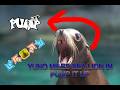 Pump It Up SEA LION By Yuno Miles Step Artists Silvix