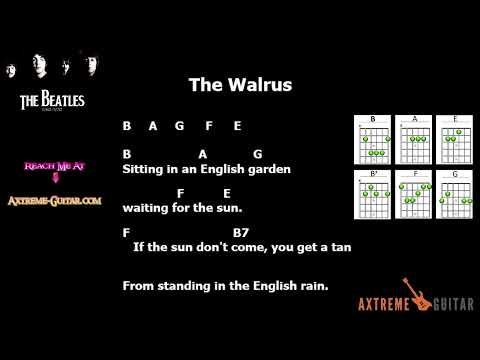 I Am The Walrus - Oasis