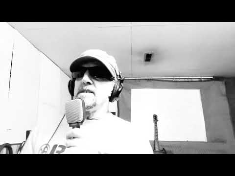 The Silverbacks - In Isolation - Times Like These Cover