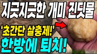 텃밭 개미 진딧물 각종벌레 한방에 박멸! 만들기 쉬운 초간단살충제!