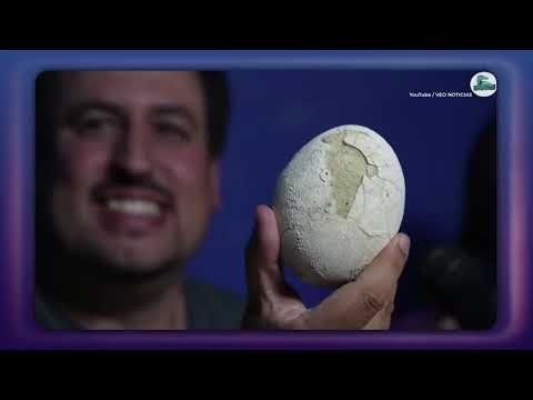 Scientists Find PERFECT 70-Million-Year-Old Dinosaur Egg!
