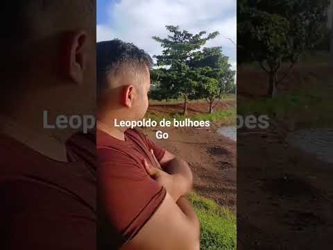 #leopoldodebulhoes #goias