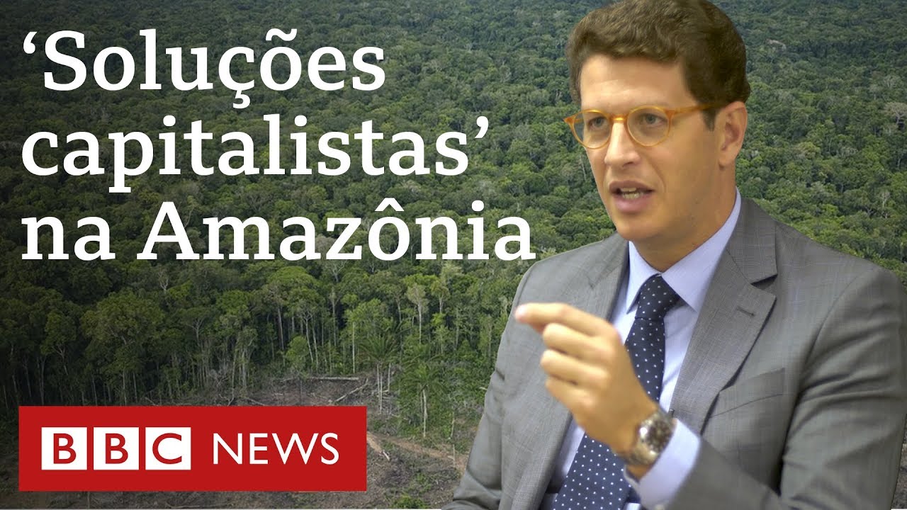 Ricardo Salles: Multas e áreas de conservação não são solução para desmatamento