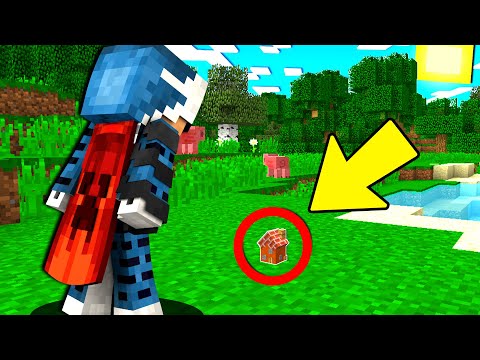 ENTRO NELLA CASA PIU PICCOLA DI MINECRAFT - ITA