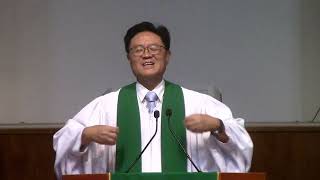 사랑과 노동(Love and Labor)