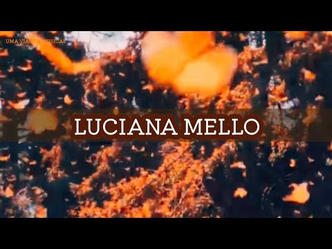Borboletas - Luciana Mello